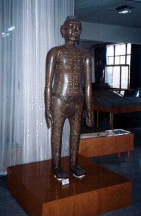 Shanghai TCM College, Acupuncture Department Museum Statue